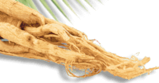 Protoflow review - Chinese Ginseng